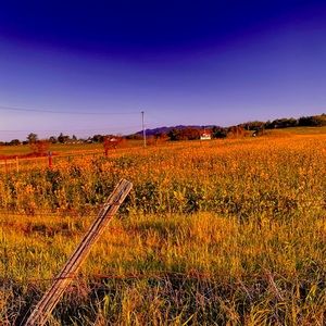 Meet your Posher, Kirstin